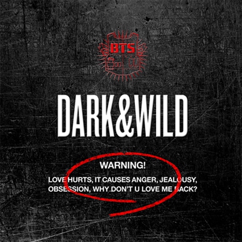 bts-dark-&-wild