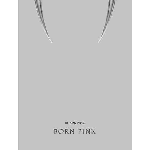 blackpink-2nd-album-born-pink-box-set-gray