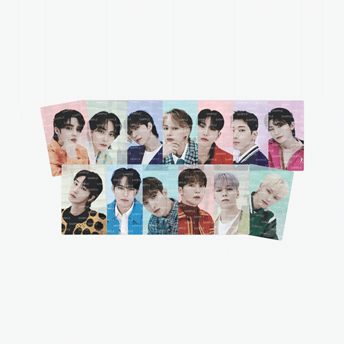 seventeen-pet-photo-card-set