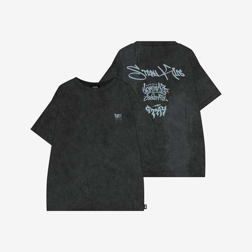 stray-kids-dominate-celebrate-t-shirt