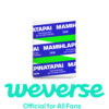 weverse-pob-illit-4th-mini-album-mamihlapinatapai-weverse-albums-ver